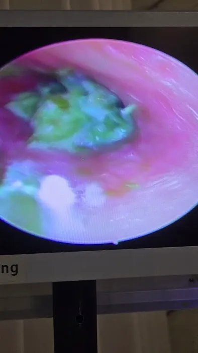 MY EAR Cleaning Specialist (专业采耳) Picture 2