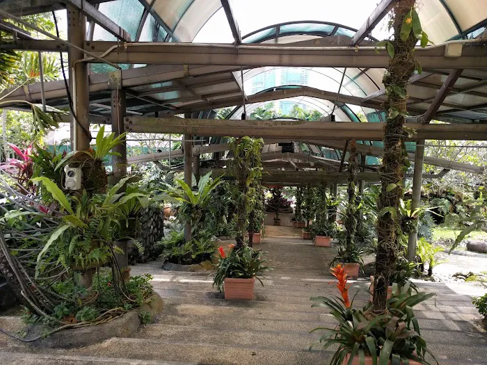 Orchid & Hibiscus Gardens Picture 10