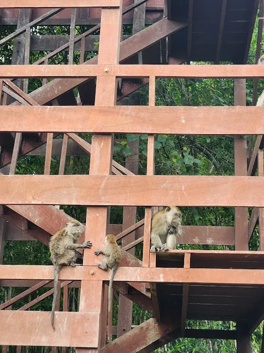 Watch tower Picture 3