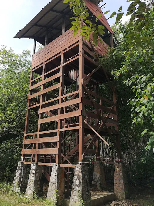 Watch tower Picture 4