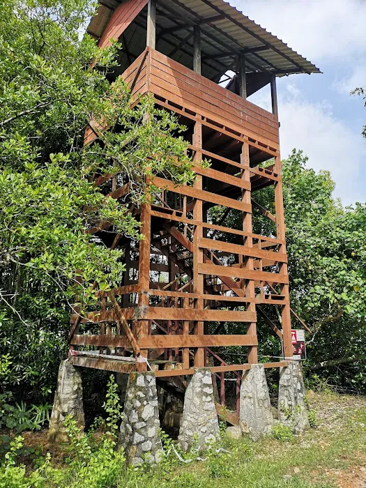 Watch tower Picture 2