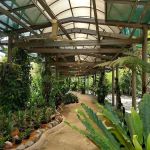 Taman Orkid Kuala Lumpur