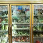 My One Organic Shop