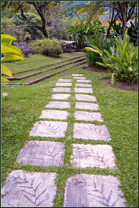 Heliconia Garden Picture 10