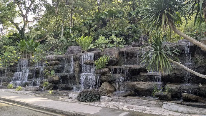 Heliconia Garden Picture 5