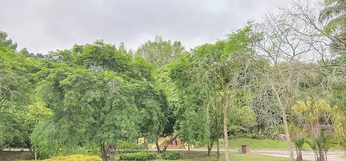 Oasis Garden Waterfall Picture 1