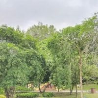 Oasis Garden Waterfall ico