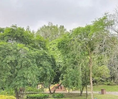 Oasis Garden Waterfall