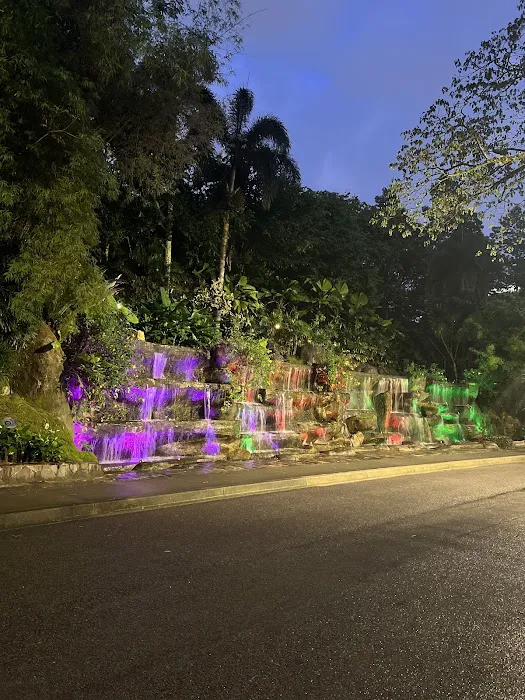 Oasis Garden Waterfall Picture 8