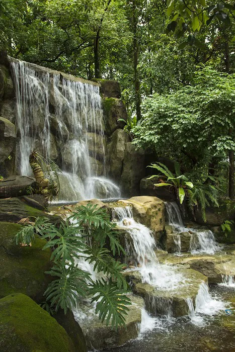 Oasis Garden Waterfall Picture 4