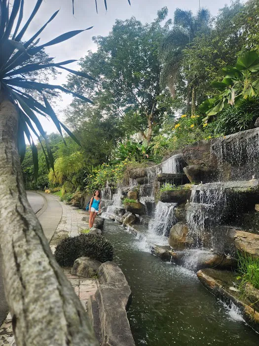 Oasis Garden Waterfall Picture 7