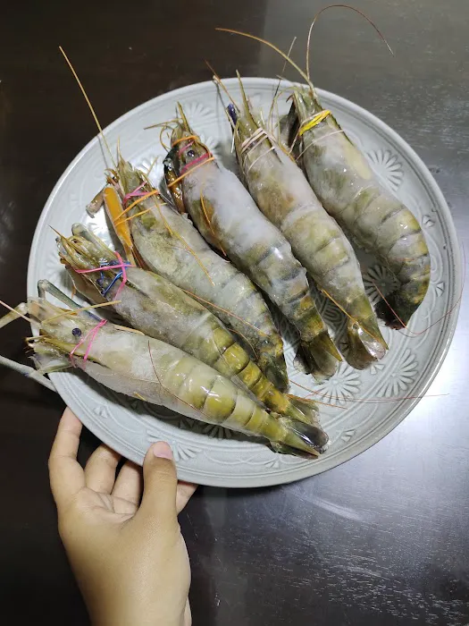 MY Frozen Seafood Picture 3