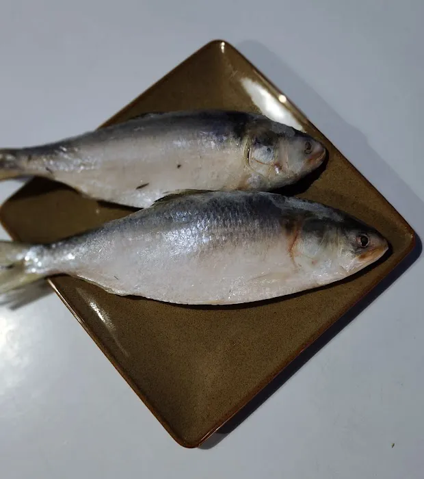 MY Frozen Seafood Picture 5