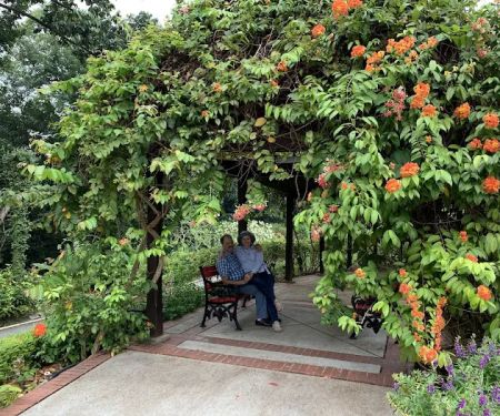 Hibiscus Garden