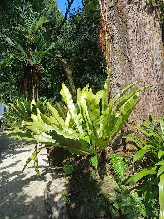 Hibiscus Garden Picture 8