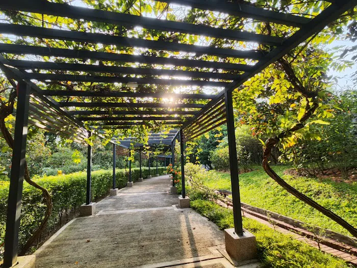 Hibiscus Garden Picture 9