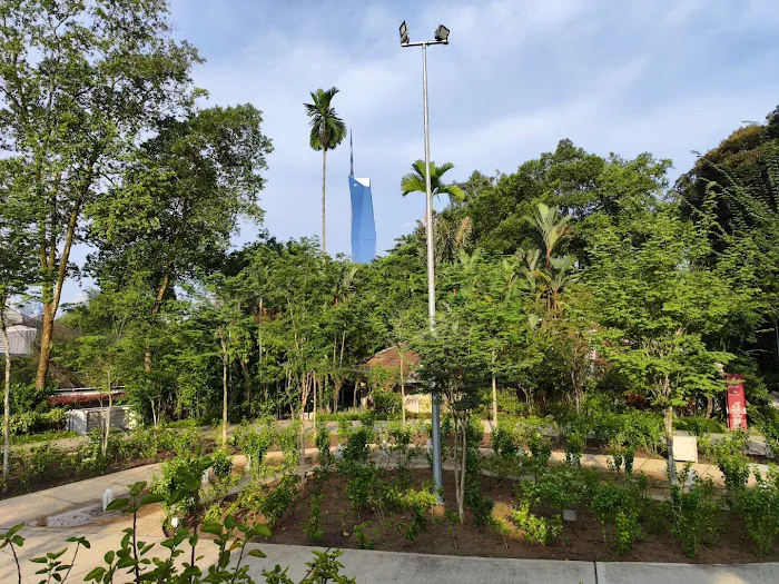Hibiscus Garden Picture 10