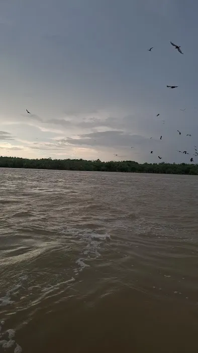 Jetty D’Tours Kuala Selangor Sdn Bhd Picture 3