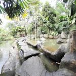 Oasis Garden
