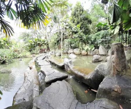 Oasis Garden