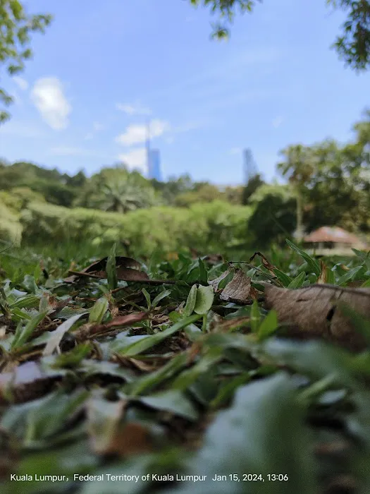 Oasis Garden Picture 5