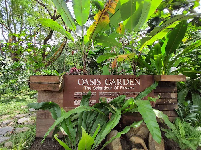 Oasis Garden Picture 4