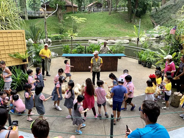 Bird School At KL Bird Park Picture 4