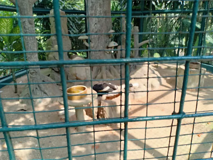 Bird School At KL Bird Park Picture 10