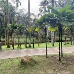 Sunken Garden