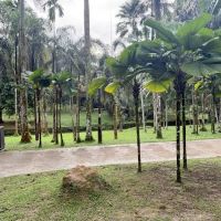 Sunken Garden ico
