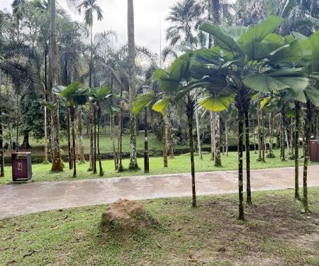 Sunken Garden