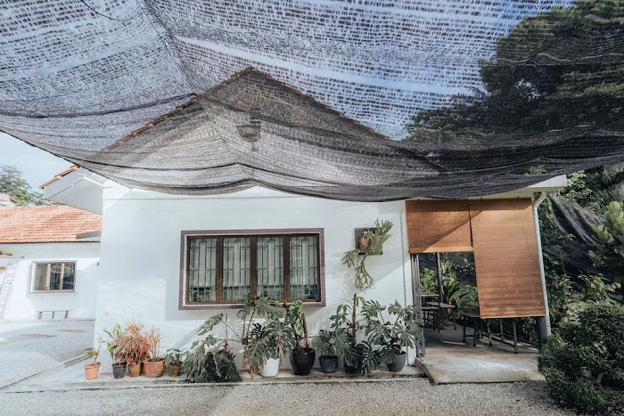 House of OMA Picture 6