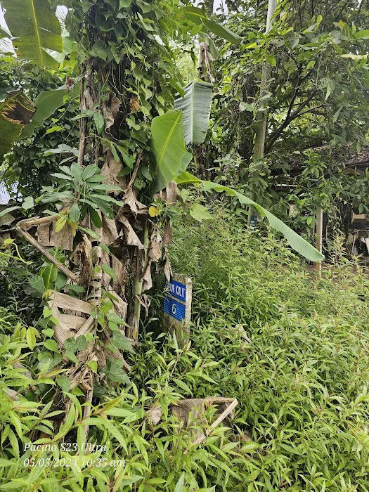 0 km Lubok Kulit Picture 3