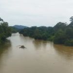 Jambatan Kuala Medang