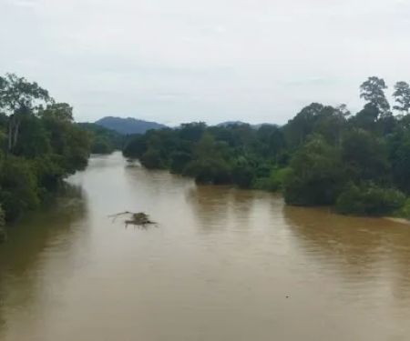 Jambatan Kuala Medang