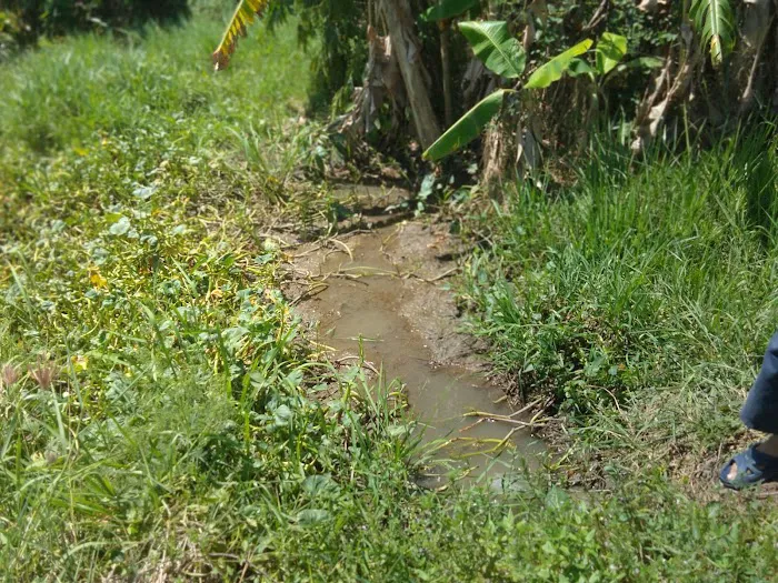 Tempat nak mancing Picture 2
