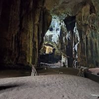 Gomantong ico