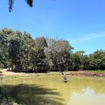 PENEROKA BELANTARA BASECAMP