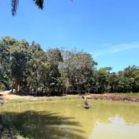 PENEROKA BELANTARA BASECAMP ico