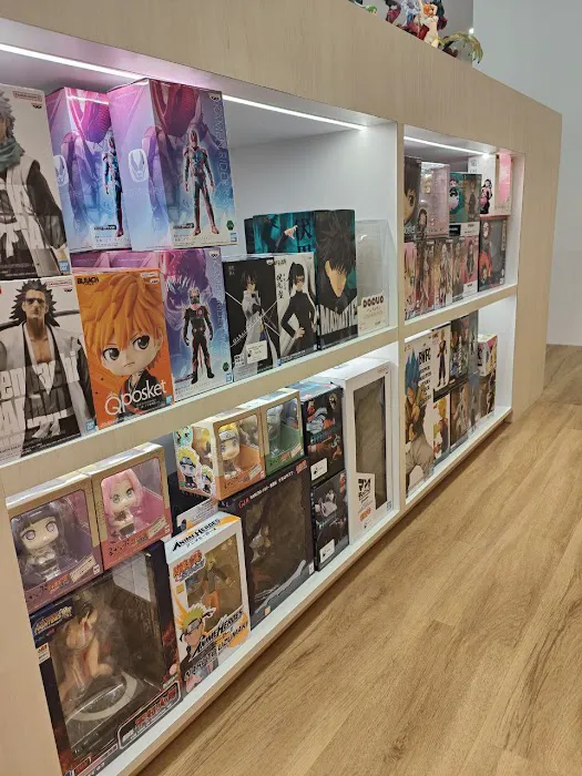 My Hobby & Collectibles Picture 5