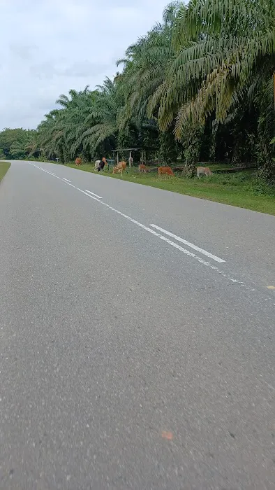 KAWASAN LEMBU Picture 1