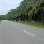 KAWASAN LEMBU