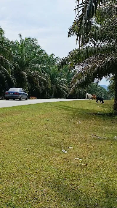 KAWASAN LEMBU Picture 3