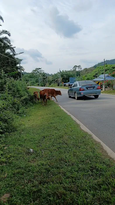 KAWASAN LEMBU Picture 2