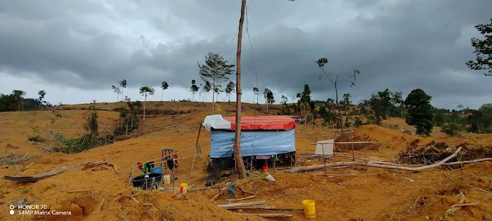 kampung chin Picture 1