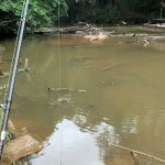 Jeram Buta
