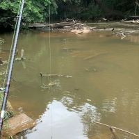 Jeram Buta ico