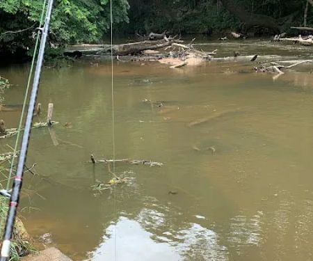 Jeram Buta