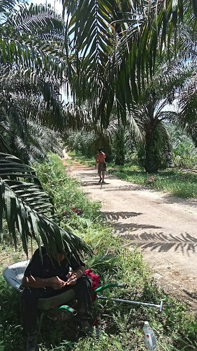 lubuk syukur Picture 3