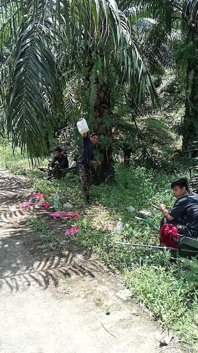 lubuk syukur Picture 2